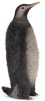 Скульптура Rhyton Furry 3020029 Пингвин 16×14 см 